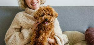 Maltipoo Puppies for Sale in Oklahoma